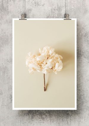 Póster ramo de flores color crema
