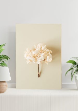 Póster ramo de flores color crema